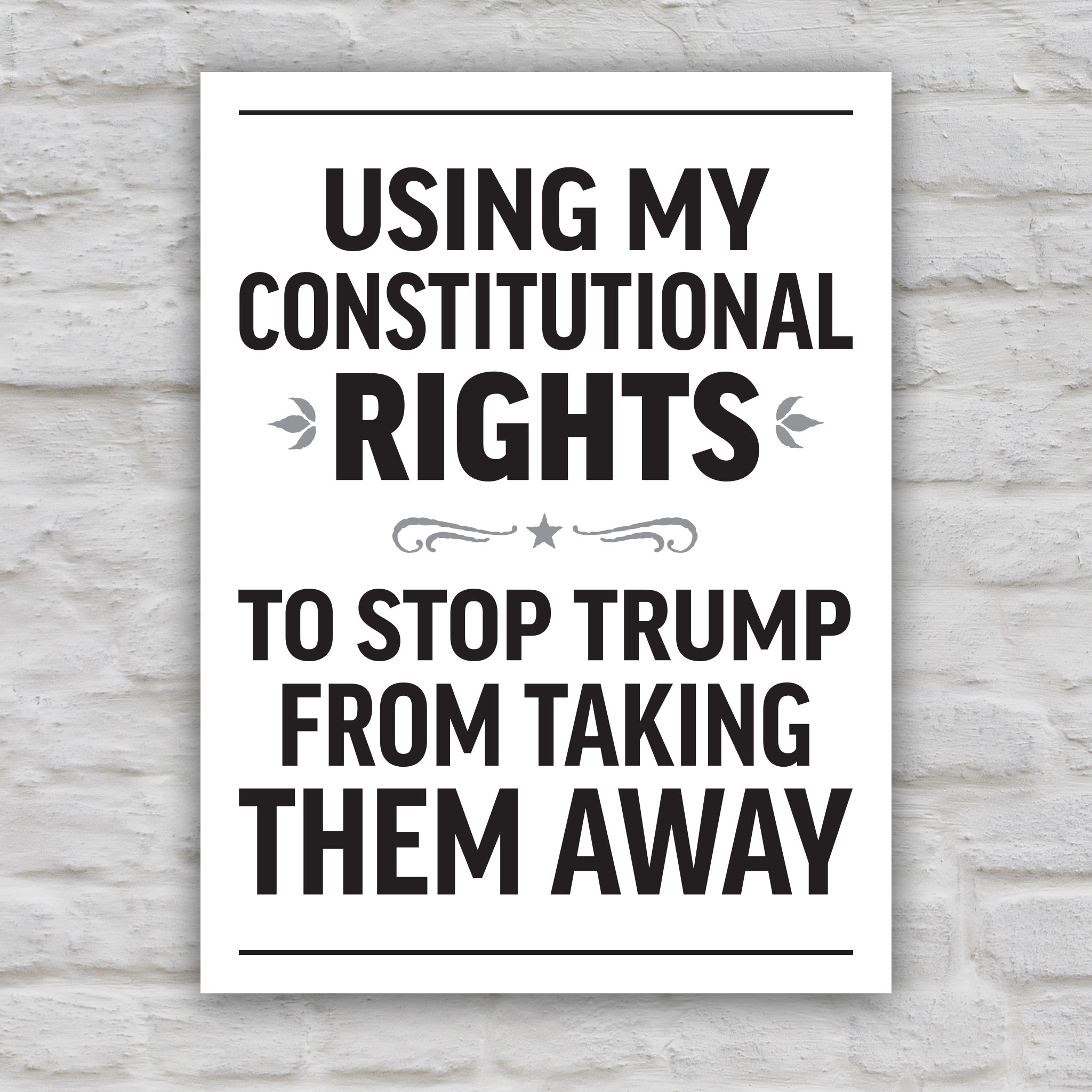 Black and white version of protest sign with bold uppercase text in patriotic red and blue that reads "Using my constitutional rights to stop Trump from taking them away."