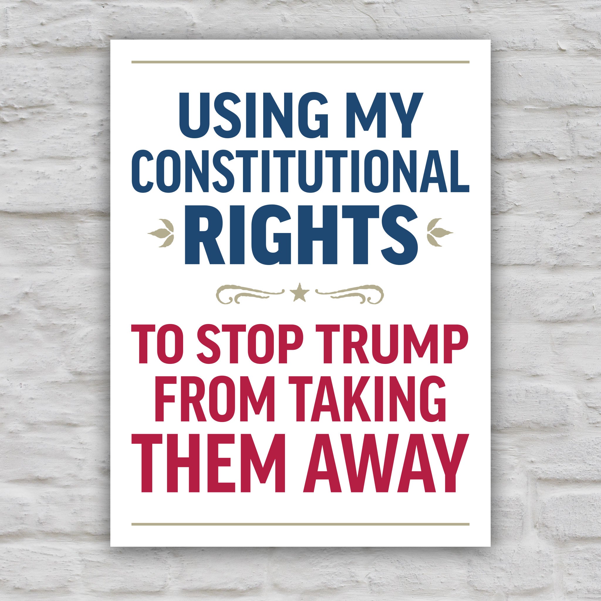Color version of protest sign with bold uppercase text in patriotic red and blue that reads "Using my constitutional rights to stop Trump from taking them away."