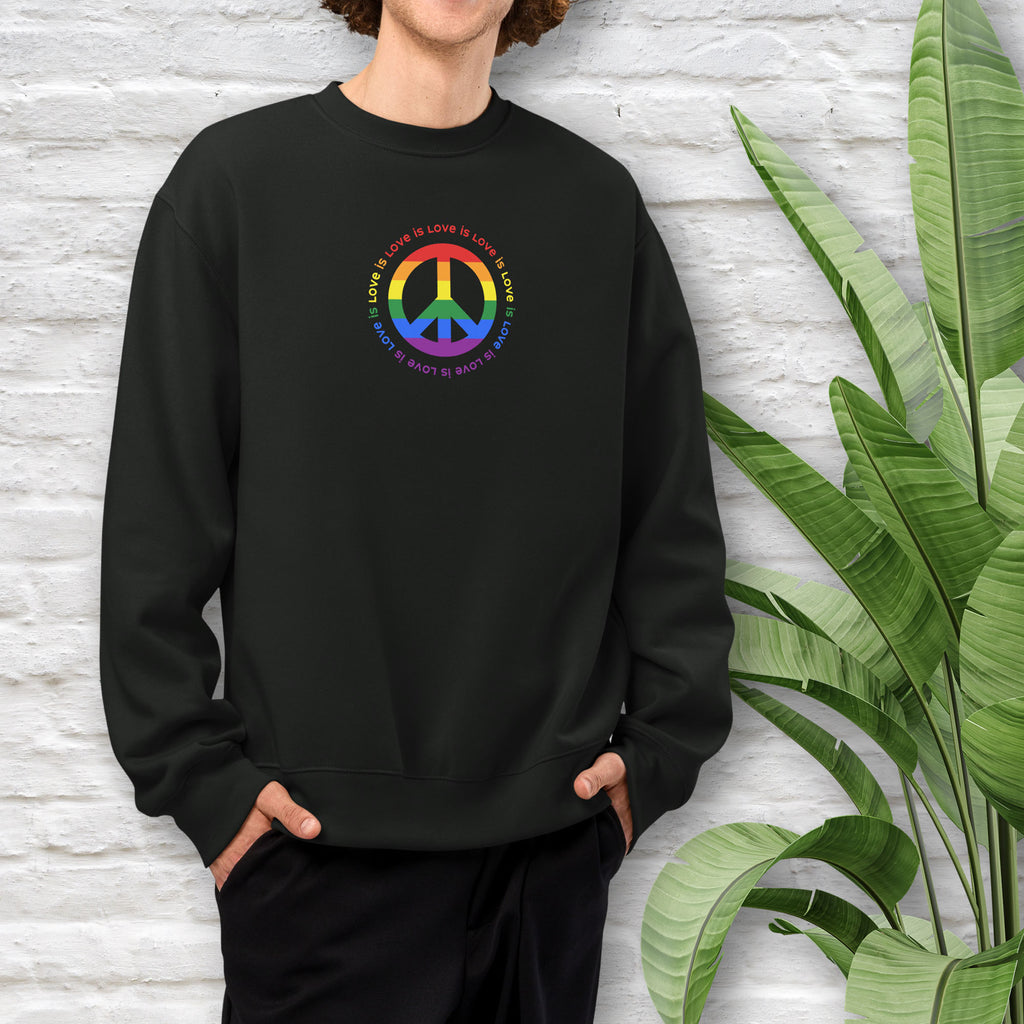 Male model wearing black sweatshirt with LGBTQ pride graphic — a peace sign in the LGBTQ flag colors, with the text "love is love" repeated in a circle around the peace sign.
