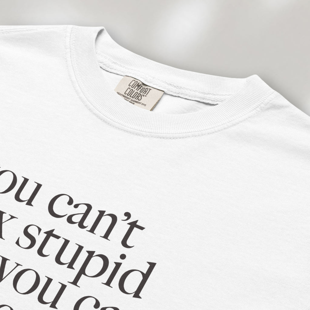 Closeup detail of white political t-shirt with serif text reading “You can’t fix stupid but you can impeach it.".