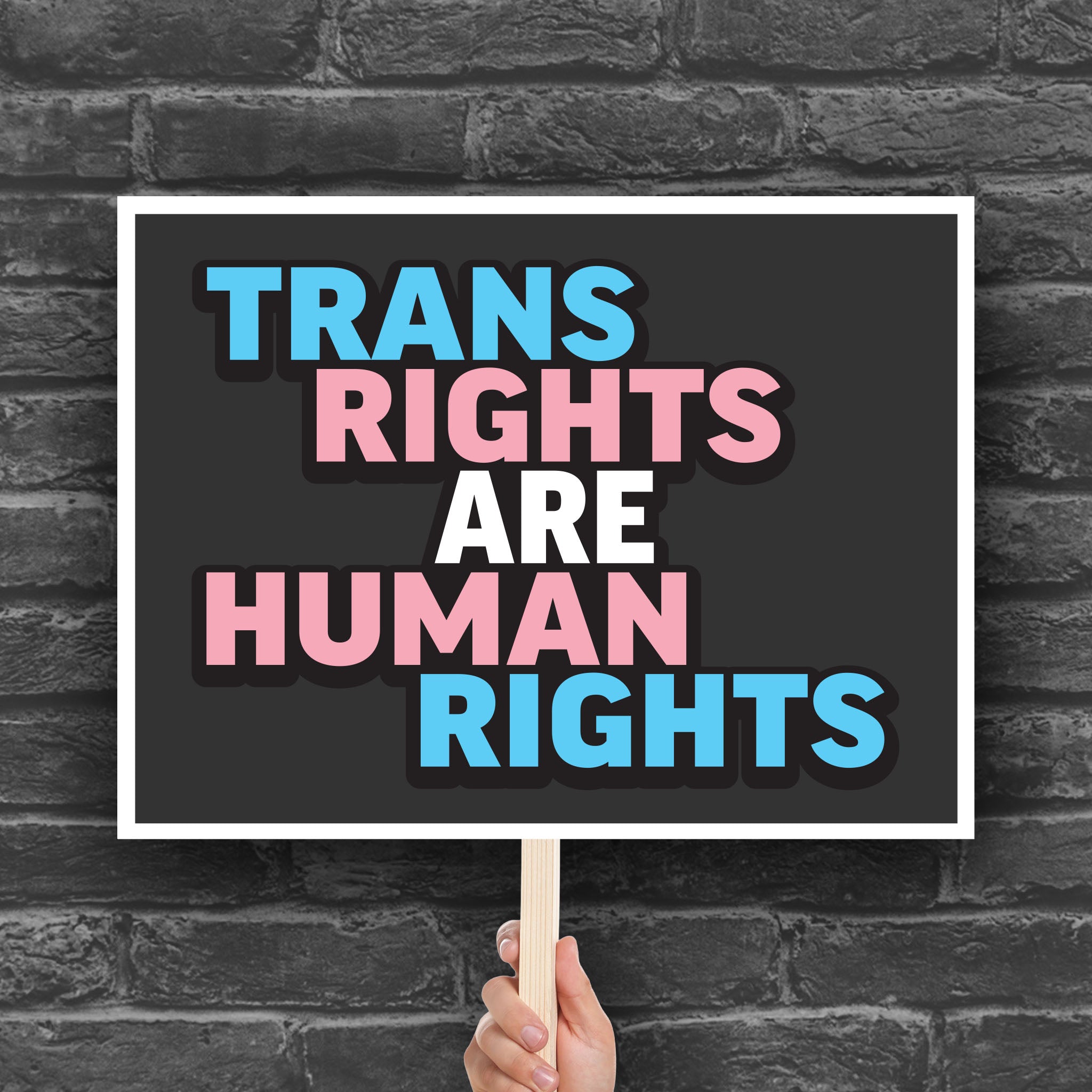 Treans Rights Trans Rights Are Human Rights horizontal protest sign (digital downloa ...