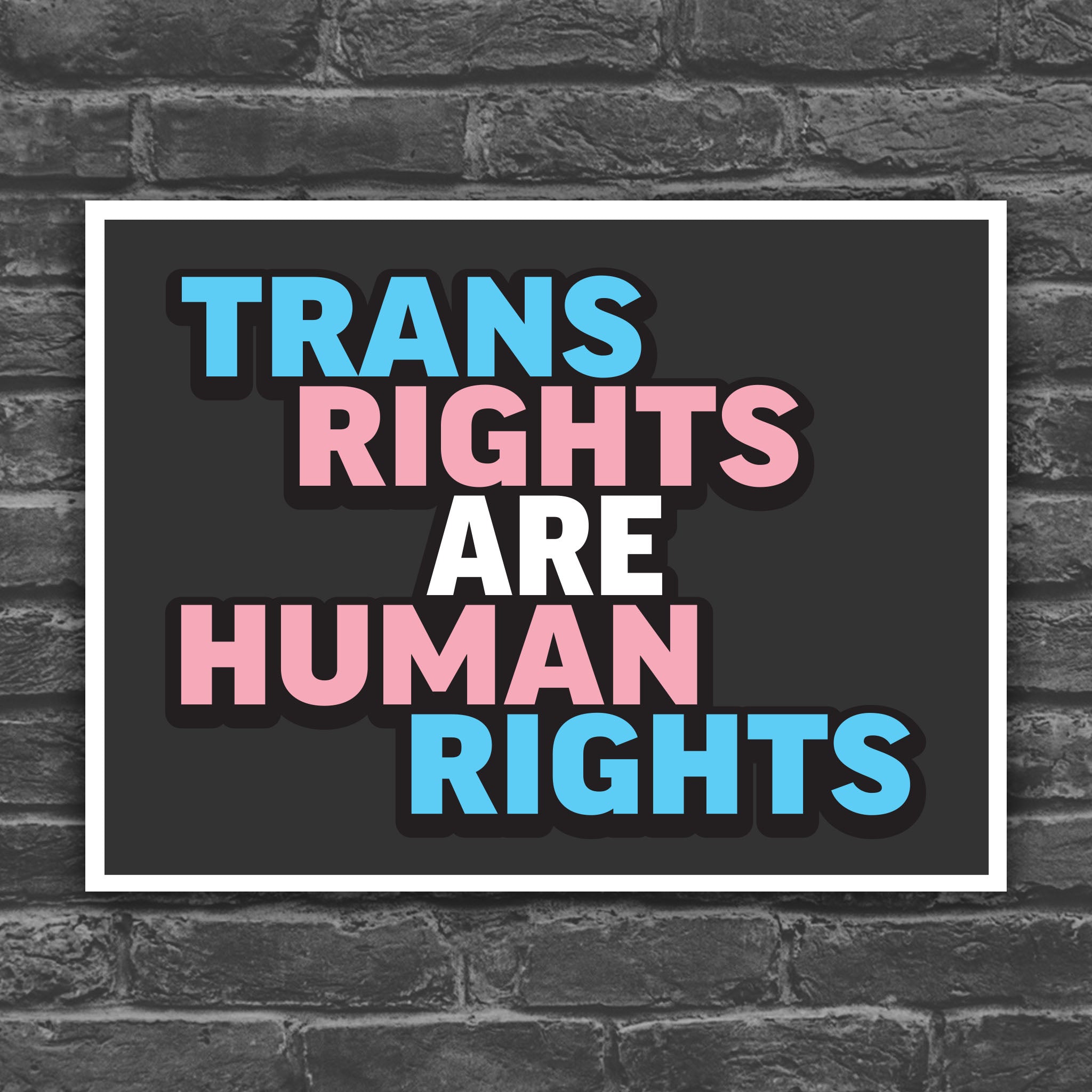 Color version of protest sign that reads “Trans Rights Are Human Rights” in blue, pink, and white lettering, symbolizing support for transgender equality and resistance to discrimination under the Trump administration.