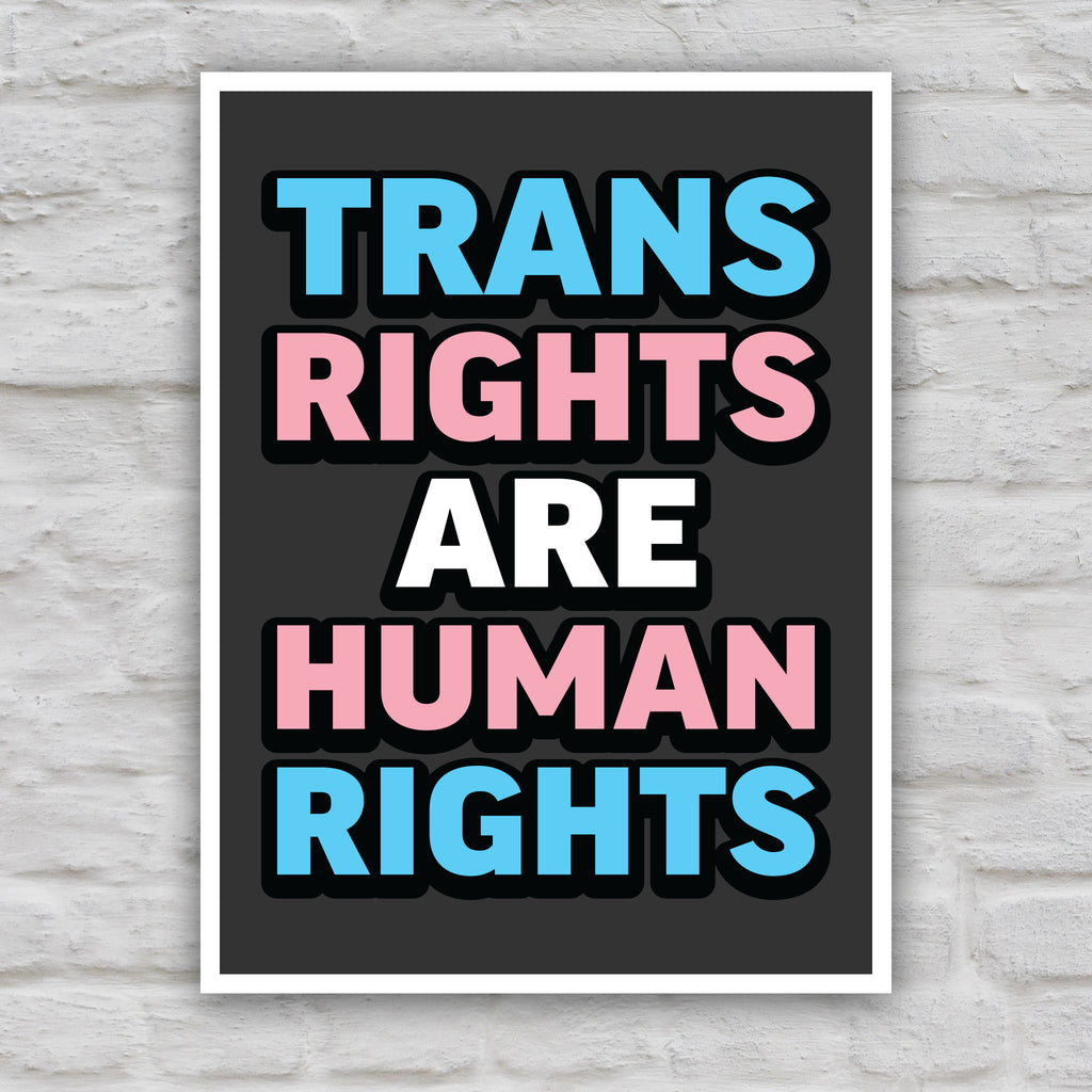 Color version of protest sign that reads “Trans Rights Are Human Rights” in blue, pink, and white lettering, symbolizing support for transgender equality and resistance to discrimination under the Trump administration.