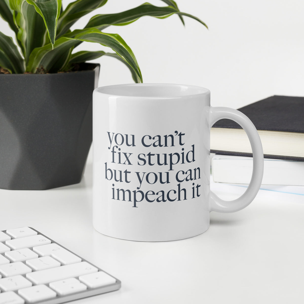You Can't Fix Stupid But You Can Impeach It mug