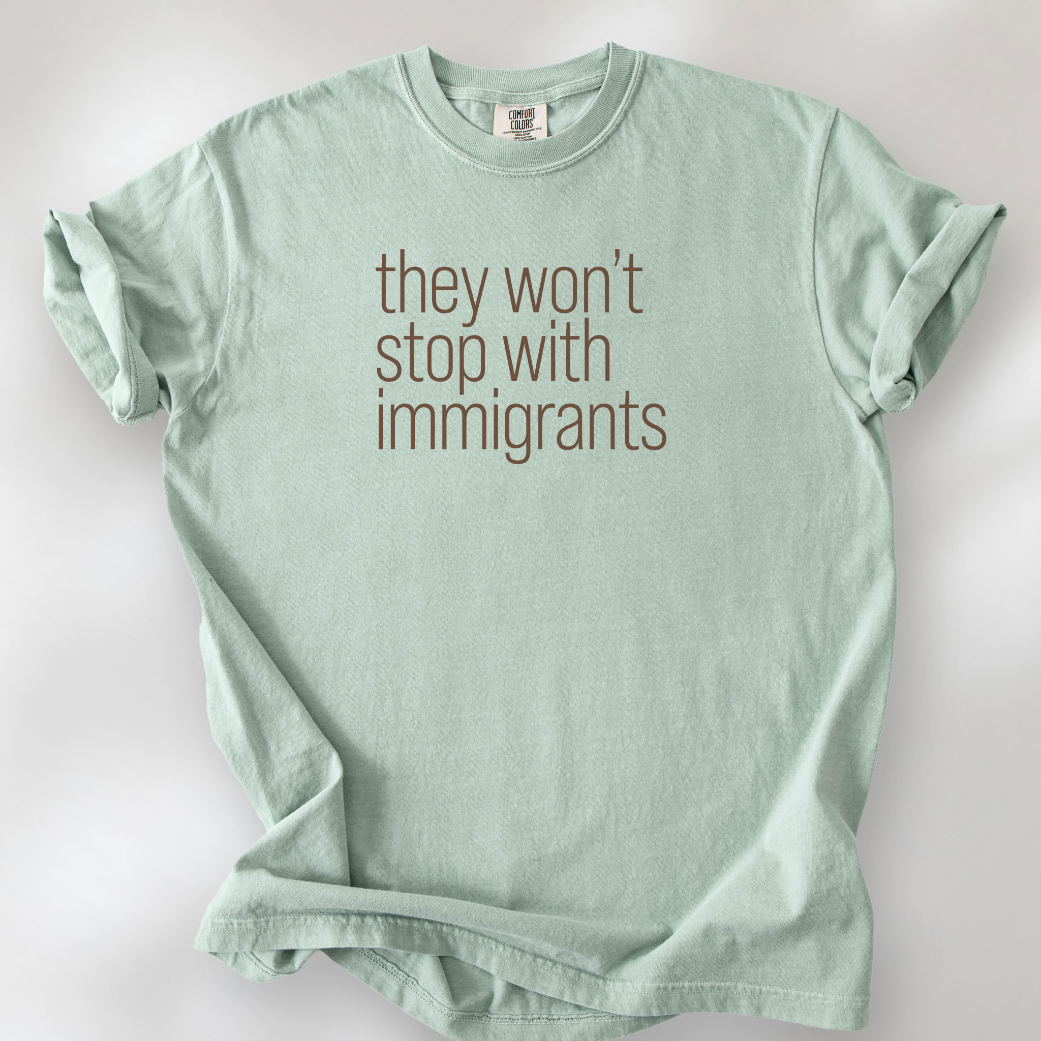 Bay comfort colors tshirt with anti-ICE, anti-trump, anti-tyranny message that reads "they won't stop with immigrants."